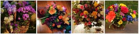 Shady grove flowers is a full service florist in asheville nc. 11 Best Flower Delivery In Asheville North Carolina 2021