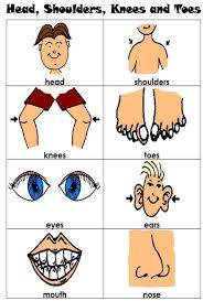 Head Shoulders Knees And Toes Lessons For Kids Art Activities For Toddlers Head Shoulders