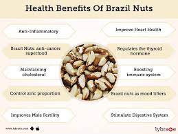 Pin By A C On Fyi Brazil Nuts Health Nut Benefits