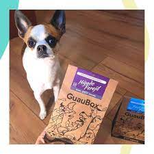 Conocen A Tritonapplehead Es Nuestro Chihuahua Y Prueba Todas Las Cositas Antes De Salir A La Venta Ama Los Produ Perros Galletas Para Perros Chihuahua