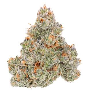 Exotic strain bud with dense trichomes, AI generated
