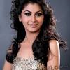 Bollywood actresses combine the above three characteristics. 1
