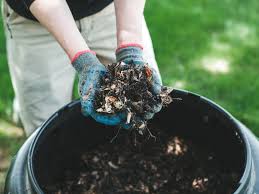 We did not find results for: How To Compost At Home Learn The Basics