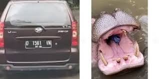 Video tiktok viral asusila keji dan penganiayaan di bangladesh tega sekali. Pelempar Botol Plastik Ke Mulut Kuda Nil Emak Emak Warga Cicalengka Merdeka Com