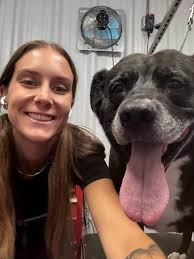 In home dog grooming services available