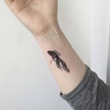 Koi Baligi Dovmeleri Koi Fish Tattoos Panosundaki Pin