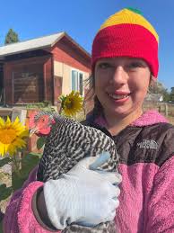 Anyone happen to have organic fed farm fresh eggs available this or next  week? I need about 3 dozen. I am in Fenton but having trouble finding them  right now so willing