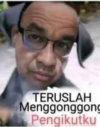 Paus modern memiliki sisa-sisa anatomi dari nenek moyang mereka yang hidup  di darat, terutama tulang panggul, yang sudah hampir kehilangan fungsinya.  Meskipun dulunya sangat membantu untuk berjalan, tulang-tulang ini telah  menyusut selama