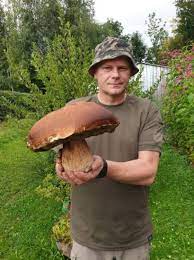 Te tereny to prawdziwy raj dla grzybiarzy. Co Za Grzyb Pan Wojciech Znalazl Borowika Giganta Wiadomosci Jaslo4u Pl