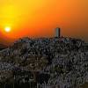 Terlebih, jika wukuf di arafah pertama terjadi ketika rasulullah shallallahu 'alaihi wa sallam melakukan haji wada'. 1