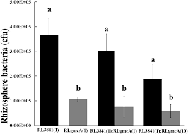 A GMC Oxidoreductase GmcA Is Required for Symbiotic Nitrogen Fixation in  Rhizobium leguminosarum bv. viciae - Frontiers