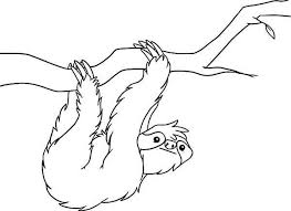 Sloth coloring page cute coloring pages free coloring. Sloth Sloth Coloring Page For Kids Sloth Coloring Page For Kidsfull Size Image Animal Outline Animal Coloring Pages Coloring Pages