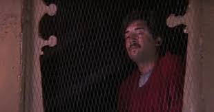 2.29m 81% penelope love song 24:00 hd. Jailhouse Rock The Songs That Perfectly Capture The State Of Confinement