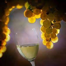 Cand vinul a stat din fiert, indepartam carpele si furtunul, astupam si legam bine gura damigenelor, iar din momentul acesta nu vom umbla la vin timp de 45 zile. Cum Se ObÈine Vinul De CasÄ Din Must De La Jidvei 7 PaÈi Simpli Pentru A ObÈine Un Vin Natural De Cea Mai BunÄ Calitate Mustdejidvei Ro