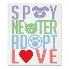 Get this free breed specific training course to have a happy & healthy dog at home. Portland Texas Animal Control Home Facebook