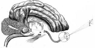 Resultado de imagen de descartes cuerpo yalma