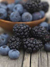 Berries Fruits Bleus Cuisine Et Boissons Fruits Et Legumes
