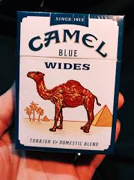 The foot of a camel is made up of a large leathery pad, with two toes at camels are herbivores, they most commonly eat grasses and desert plants, although there are camels are ruminant feeders and do not chew when they eat their food, but later regurgitate the cud. Anyone Smoke These Regularly Cigarettes