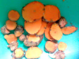 Download miara awak basa sunda kelas 2 mi guru sd smp sma Sawer Wikipedia Sunda Ensiklopedi Bebas