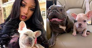 Megan thee stallion's getting serious with her boyfriend/fellow rapper by buying him a seriously expensive birthday gift. Check Out These Snaps Megan Thee Stallion Shared Posing With Her Cute Dogs At Home