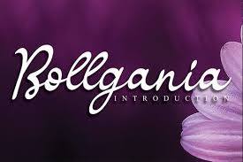It is a modern stencil interpretation of granjon oldstyle, highlighted by large elongated serifs. Bollgania Script Font Befonts Com