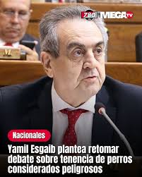 𝗬𝗔𝗠𝗜𝗟 𝗘𝗦𝗚𝗔𝗜𝗕 𝗣𝗟𝗔𝗡𝗧𝗘𝗔 𝗥𝗘𝗧𝗢𝗠𝗔𝗥 𝗗𝗘𝗕𝗔𝗧𝗘  𝗦𝗢𝗕𝗥𝗘 𝗧𝗘𝗡𝗘𝗡𝗖𝗜𝗔 𝗗𝗘 𝗣𝗘𝗥𝗥𝗢𝗦 𝗖𝗢𝗡𝗦𝗜𝗗𝗘𝗥𝗔𝗗𝗢𝗦  𝗣𝗘𝗟𝗜𝗚𝗥𝗢𝗦𝗢𝗦