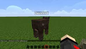 In your console, type op <username>. Howto Fake Op