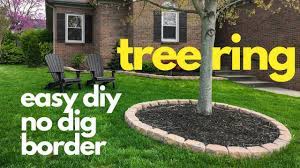 Create an outside border of bricks, large stones, or commercial edging to keep small rocks from tumbling out on the lawn. Easy Diy No Dig Border Tree Ring Youtube