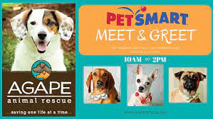 Kyle busch will use the opportunity to unveil a paint scheme that promotes animal adoption. Petsmart Meet Greet Agape Animal Rescue