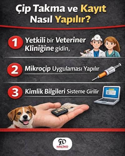 Evcil Hayvanını Sevenler, Son Çağrı! Neden Bu Çip Hayat Kurtarabilir?