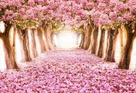 Get it as soon as wed, jun 30. Romantic Pink Trees Wallpaper Wall Mural