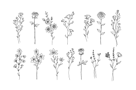 778 Leaf Flowers Hand Drawn Stock Floral Illustration Vector How To Draw Hands Hand Drawn Flowers