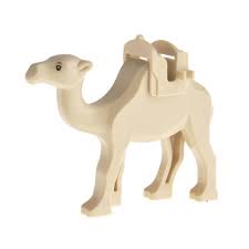 There are several groups of ungulate mammals whose weight is distributed about equally by the third and fourth toes as they move around. Diy Mini Building Block Animal Camel Shark Bricks Model Children Educational Toy Buy From 3 On Joom E Commerce Platform