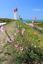 En Vacances En Charente Maritime Allez Faire Un Sejour Sur L Ile D Aix Instants Memorables Assures Pays Rochefort Oce Ile D Aix Ile D Aix Ile Francaise