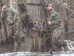 Check spelling or type a new query. Banded Brands Spreads Its Wings In Arkansas Greenhead
