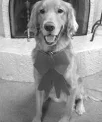 Meet the cast of Annie Part 5...