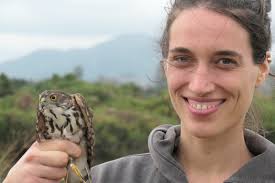 Amur Bird Project: Hong Kong Rubythroats