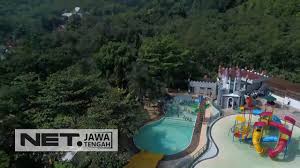 Sensasi Berenang Di Tengah Perkebunan Kopi Net Jateng Youtube