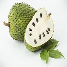 Kebaikan daun durian belanda ialah dapat mengatasi masalah sakit kerongkong, cirit perkenalkan kepada anda tentang satu herba iaitu dukung anak. Anak Pokok Durian Belanda Pokok Dalam 2 Kaki Sangat Berkhasiat Buah Besar Manis Shopee Malaysia