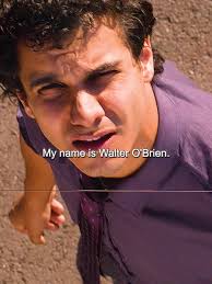 Walter Obrien 4th Highest Iq