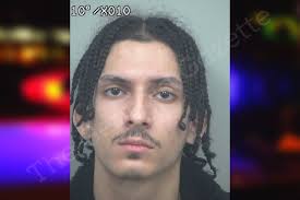 Cesar Araujo — Gwinnett County Jail Bookings
