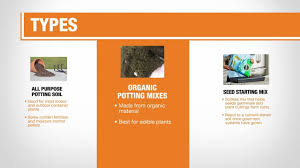 I will never forget what being shipped bare. Best Potting Soil For Your Plants The Home Depot