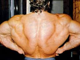 These are the muscles of the lower body that not only give strength to the upper part of the body but also form the posterior chain which includes hamstrings and glutes. The Best Back Workout To Build Your Back Fast Temple Gym Birmingham