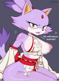 Rule34 - If it exists, there is porn of it  blaze the cat  5521421