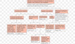 Start studying arteries of head and neck. External Carotid Artery Head And Neck Anatomy Common Carotid Artery Png 664x489px Artery Area Arterial Blood