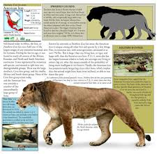 What Extinct Animal Would You Most Like A Chance To See Extinct Animals American Lion Prehistoric Animals