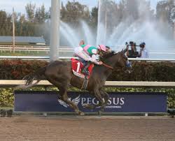 Arrogate Wins The Inaugural Pegasus World Cup Invitational California Chrome 9th Horse Trainer Schnauzer Dogs Horses