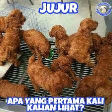 Jangan lupa komment dan follow dan isi votenya. 12 Meme Lucu Menipu Mata Ini Bikin Kamu Mikir Dua Kali Brilio Net Line Today