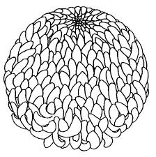 See more ideas about coloring pages, chrysanthemum, coloring pictures. Kids Drawing Of A Chrysanthemum Coloring Page Coloring Sun