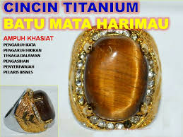 Pembayaran mudah, pengiriman cepat & bisa cicil 0%. Cincin Titanium Mata Harimau